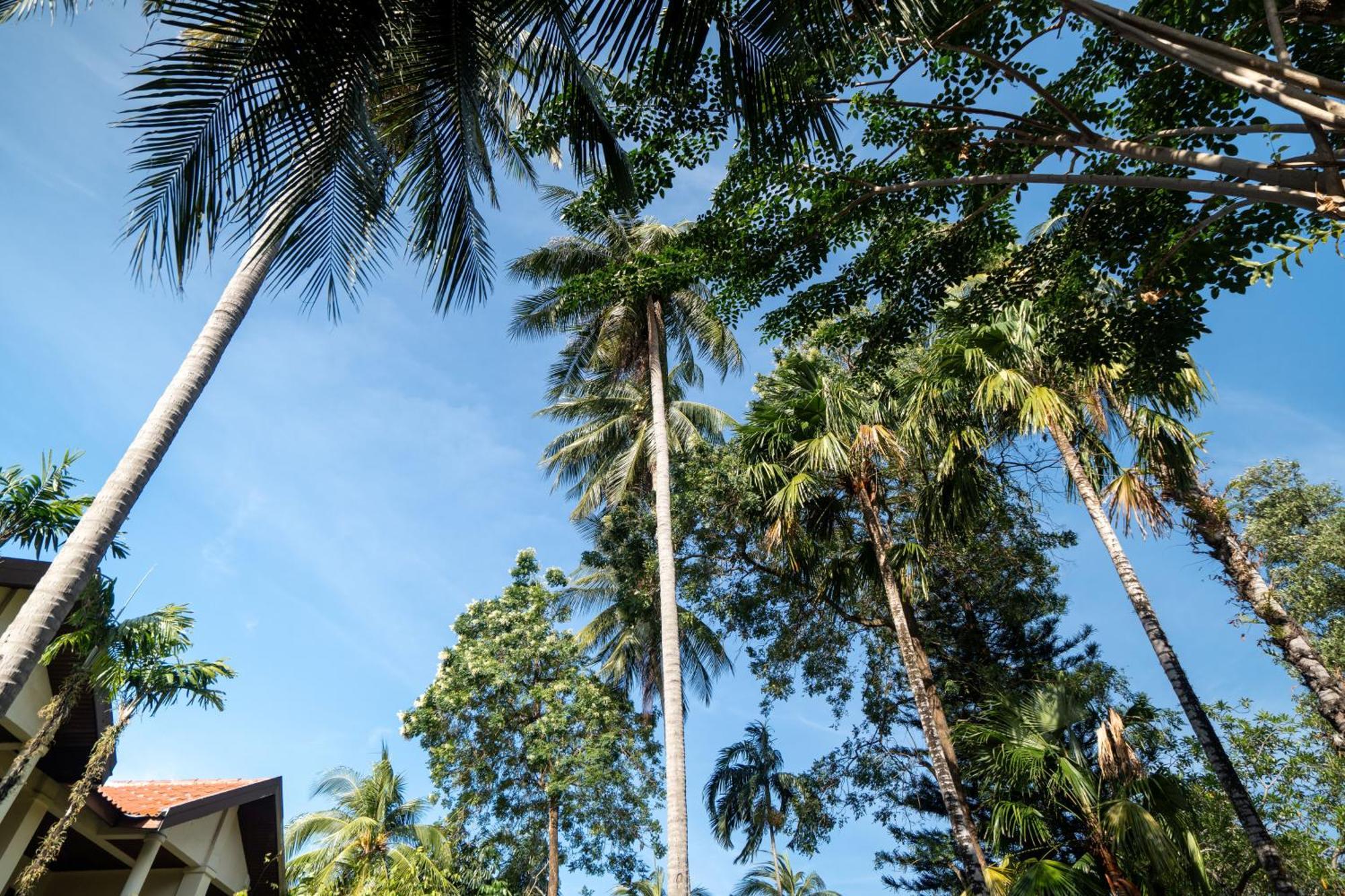 Phuket Leelavadee Hua Ting Resort Patong Luaran gambar